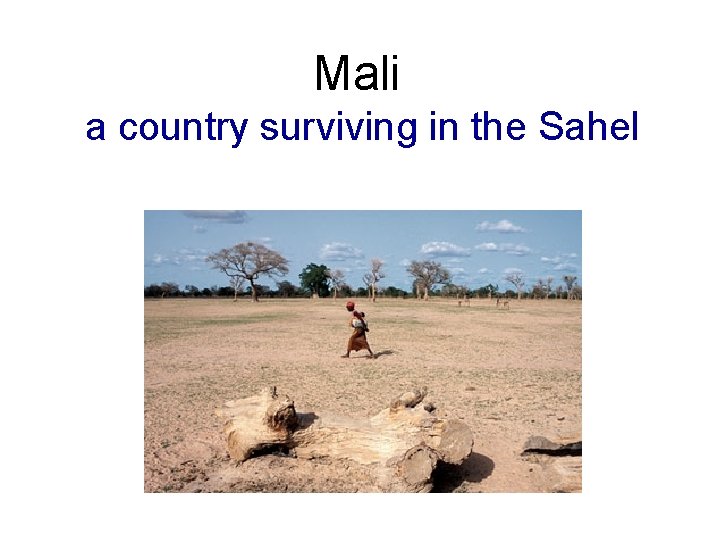 Mali a country surviving in the Sahel 