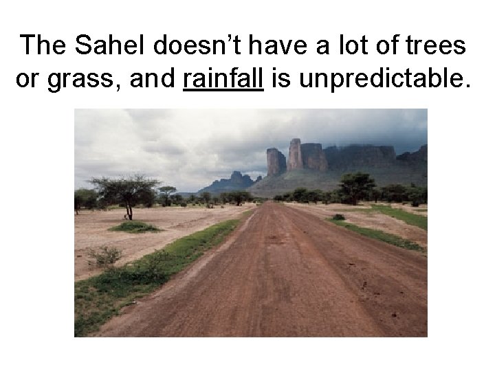 The Sahel doesn’t have a lot of trees or grass, and rainfall is unpredictable.