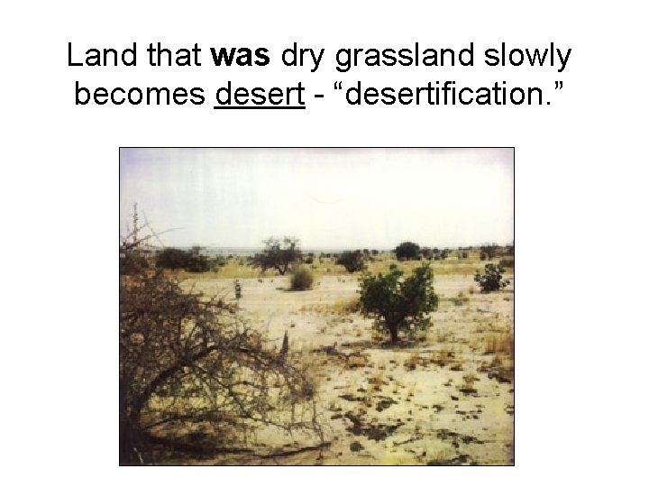 Land that was dry grassland slowly becomes desert - “desertification. ” 