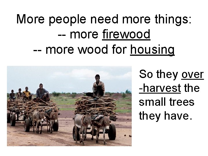 More people need more things: -- more firewood -- more wood for housing So