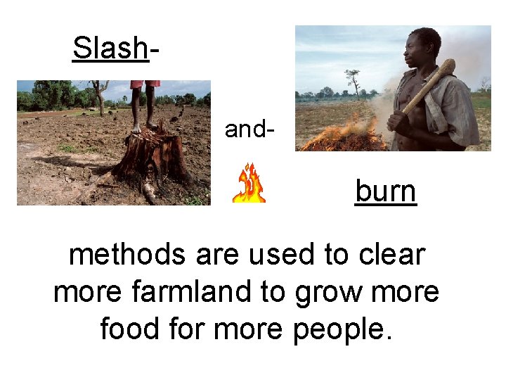 Slashand- burn methods are used to clear more farmland to grow more food for