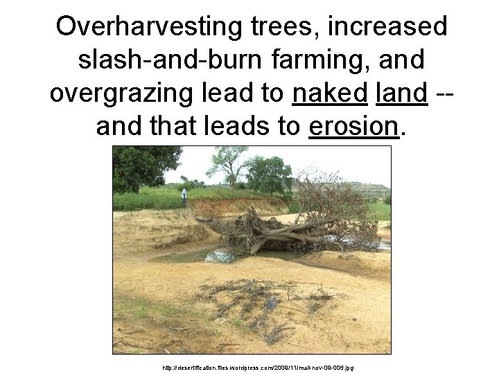 Overharvesting trees, increased slash-and-burn farming, and overgrazing lead to naked land -and that leads