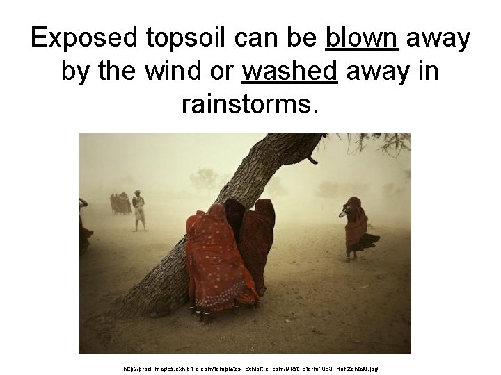 Exposed topsoil can be blown away by the wind or washed away in rainstorms.
