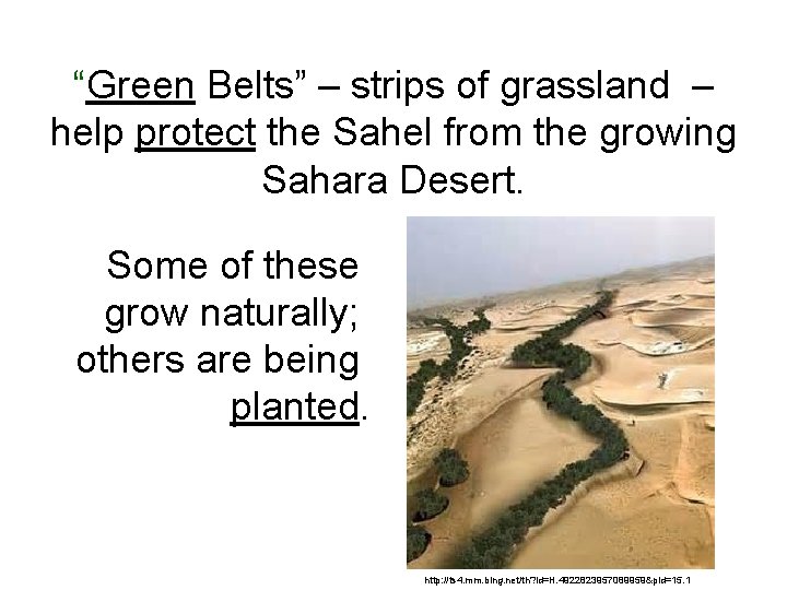 “Green Belts” – strips of grassland – help protect the Sahel from the growing