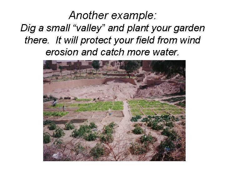 Another example: Dig a small “valley” and plant your garden there. It will protect