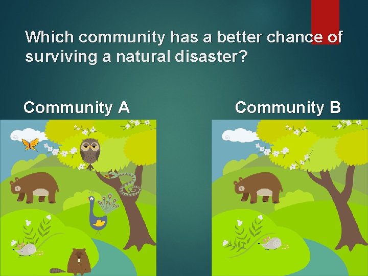 Which community has a better chance of surviving a natural disaster? Community A Community Which community has a better chance of surviving a natural disaster? Community A Community