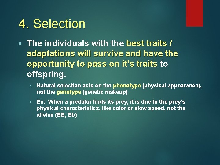 4. Selection § The individuals with the best traits / adaptations will survive and 4. Selection § The individuals with the best traits / adaptations will survive and