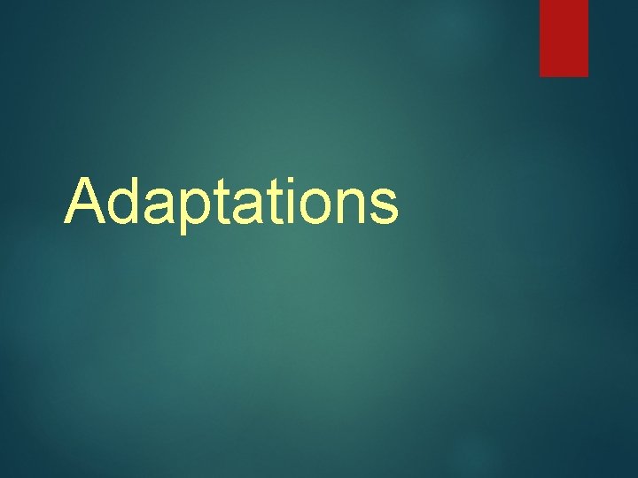 Adaptations Adaptations