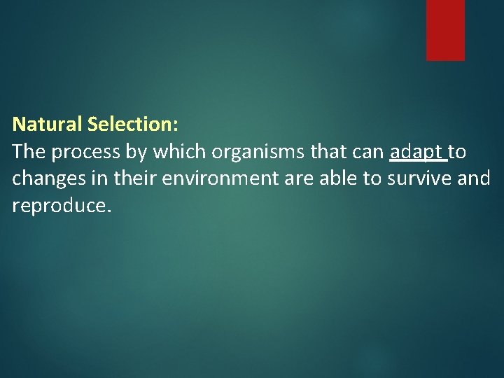 Natural Selection: The process by which organisms that can adapt to changes in their Natural Selection: The process by which organisms that can adapt to changes in their
