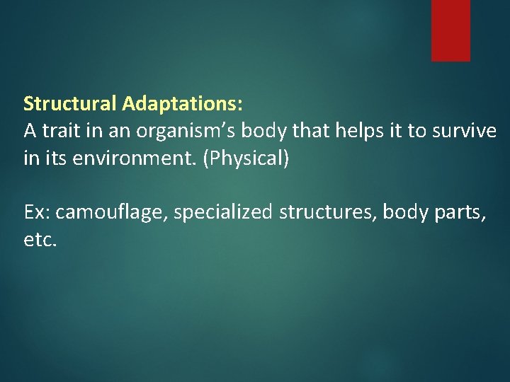 Structural Adaptations: A trait in an organism’s body that helps it to survive in Structural Adaptations: A trait in an organism’s body that helps it to survive in
