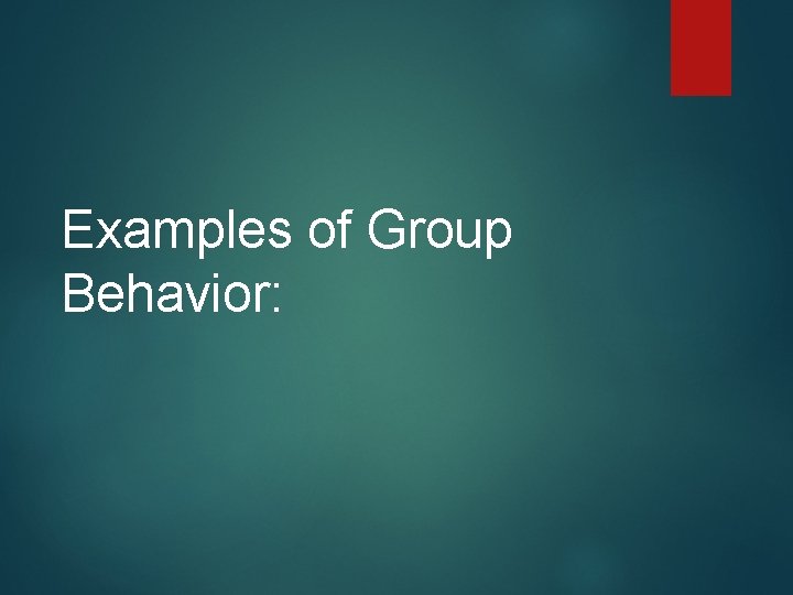 Examples of Group Behavior: Examples of Group Behavior: