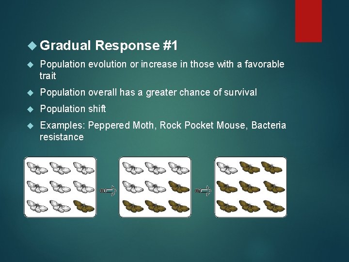 Gradual Response #1 Population evolution or increase in those with a favorable trait Gradual Response #1 Population evolution or increase in those with a favorable trait