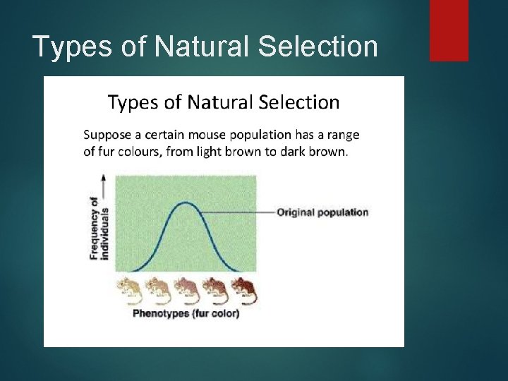 Types of Natural Selection Types of Natural Selection