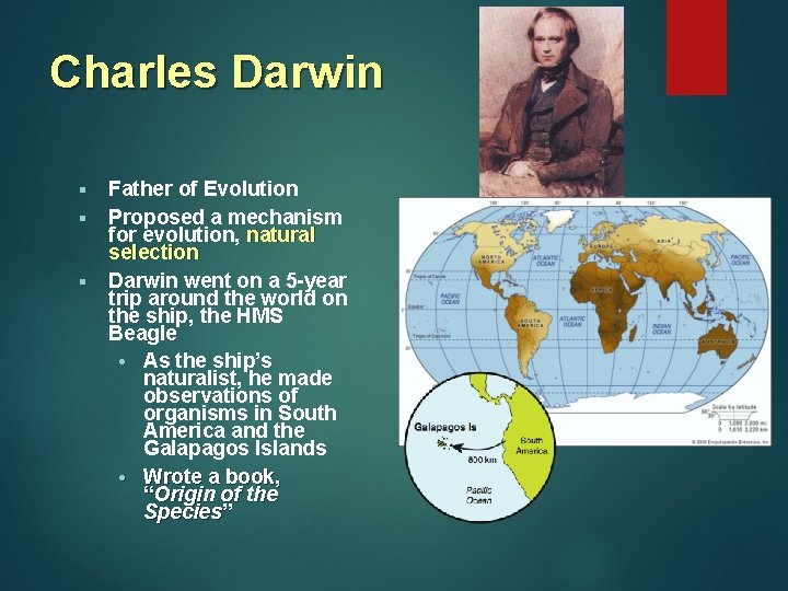 Charles Darwin § § § Father of Evolution Proposed a mechanism for evolution, natural Charles Darwin § § § Father of Evolution Proposed a mechanism for evolution, natural