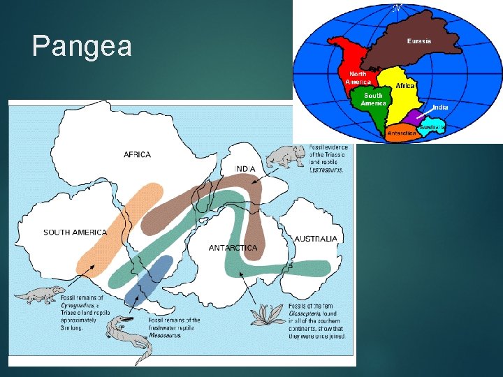 Pangea Pangea