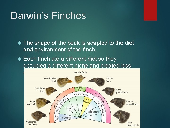 Evolution and Natural Selection Learning Goals 1 Define