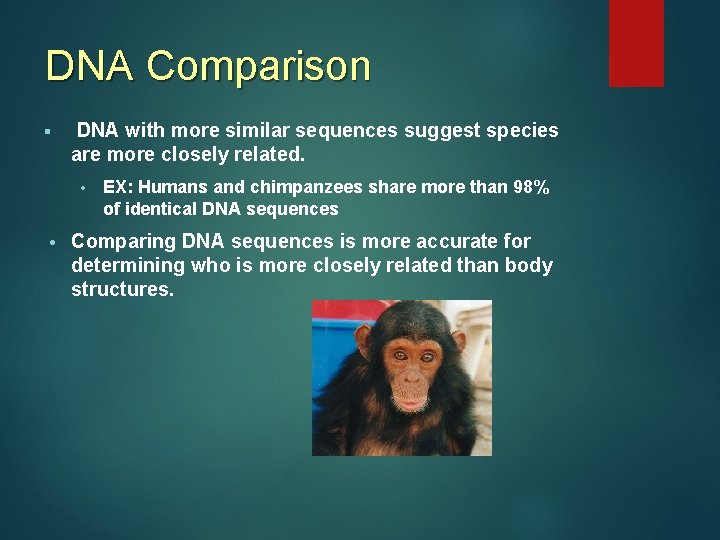 DNA Comparison § DNA with more similar sequences suggest species are more closely related. DNA Comparison § DNA with more similar sequences suggest species are more closely related.