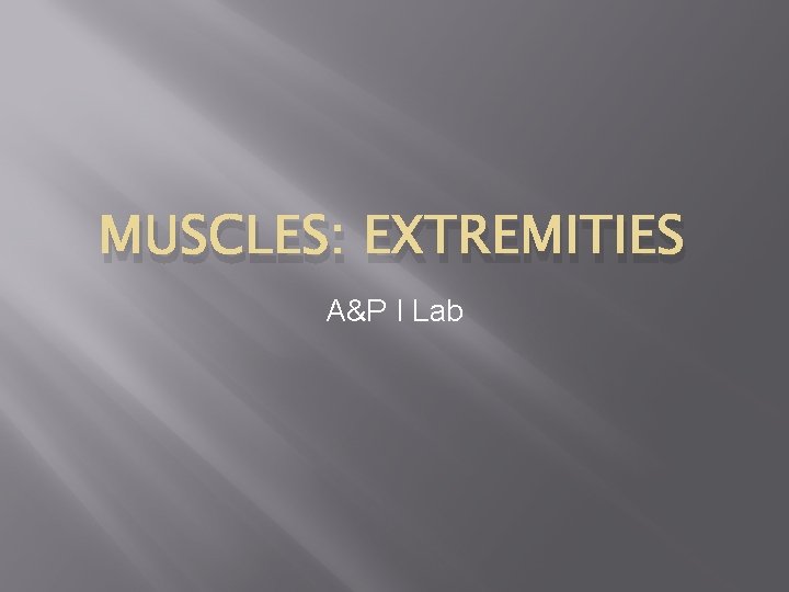 MUSCLES: EXTREMITIES A&P I Lab 