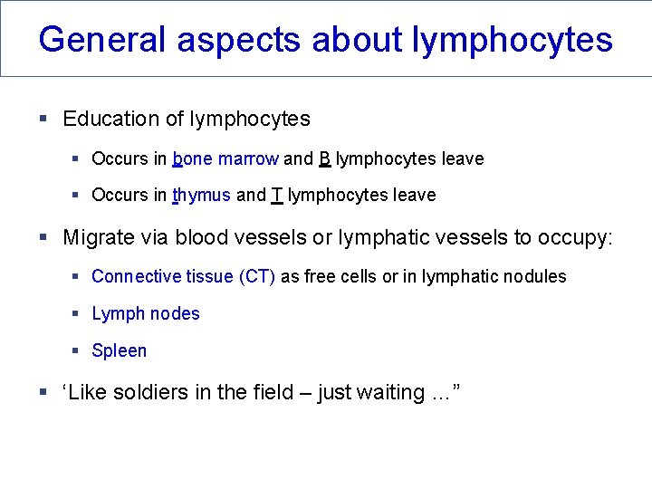 General aspects about lymphocytes § Education of lymphocytes § Occurs in bone marrow and