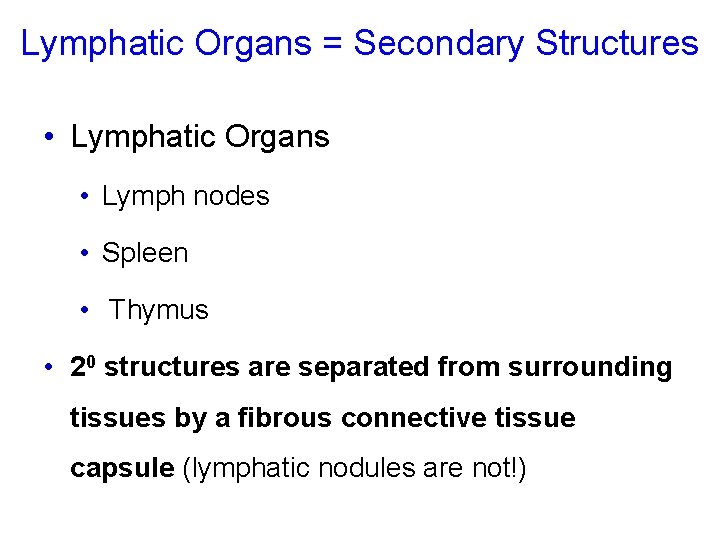 Lymphatic Organs = Secondary Structures • Lymphatic Organs • Lymph nodes • Spleen •