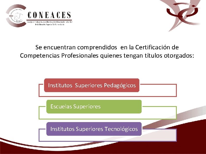 Se encuentran comprendidos en la Certificación de Competencias Profesionales quienes tengan títulos otorgados: Institutos