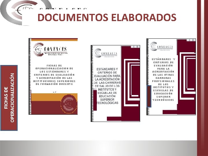 FICHAS DE OPERACIONALIZACIÓN DOCUMENTOS ELABORADOS FICHAS DE OPERACIONALIZACION DE LOS ESTÁNDARES Y CRITERIOS DE