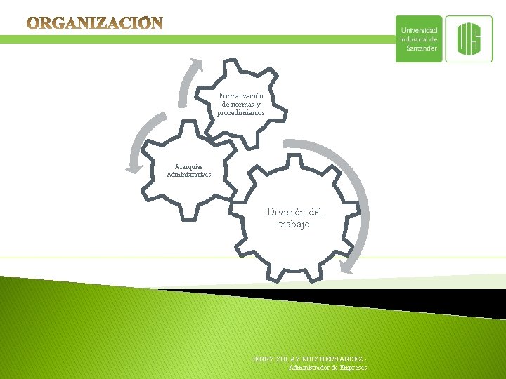 Formalización de normas y procedimientos Jerarquías Administrativas División del trabajo JENNY ZULAY RUIZ HERNANDEZ