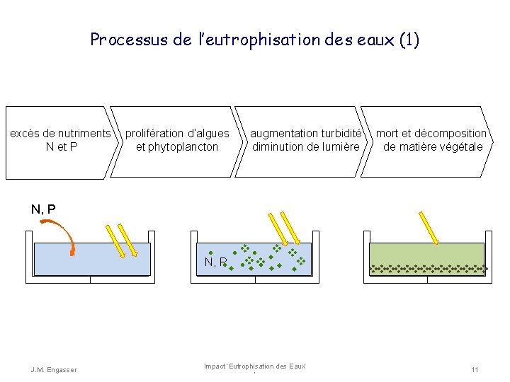 Processus de l’eutrophisation des eaux (1) excès de nutriments prolifération d’algues N et P