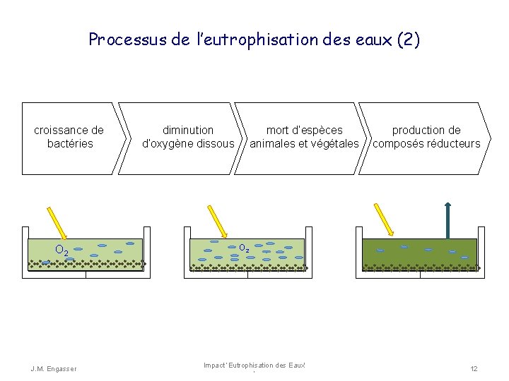 Processus de l’eutrophisation des eaux (2) croissance de bactéries diminution d’oxygène dissous O 2