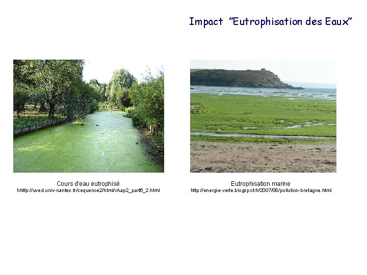 Impact ’’Eutrophisation des Eaux’’ Cours d’eau eutrophisé Eutrophisation marine hhttp: //uved. univ-nantes. fr/sequence 2/html/chap