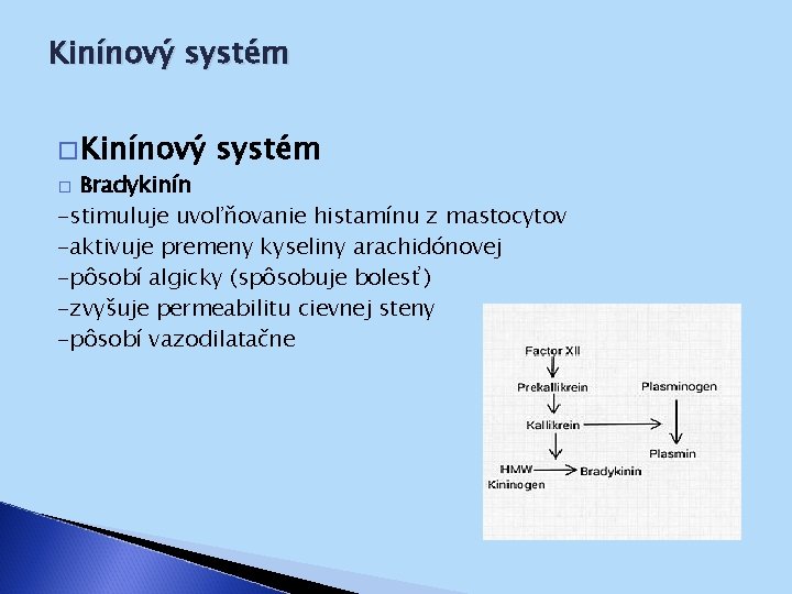 Kinínový systém � Kinínový systém Bradykinín -stimuluje uvoľňovanie histamínu z mastocytov -aktivuje premeny kyseliny
