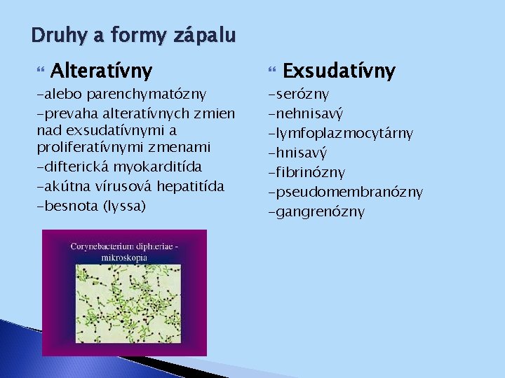 Druhy a formy zápalu Alteratívny -alebo parenchymatózny -prevaha alteratívnych zmien nad exsudatívnymi a proliferatívnymi