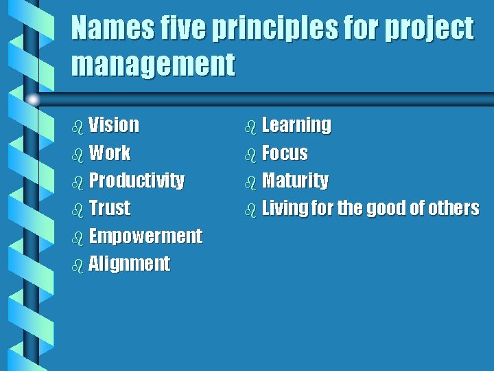 Names five principles for project management b Vision b Learning b Work b Focus