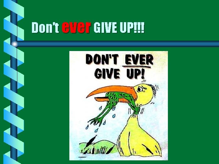 Don’t ever GIVE UP!!! 