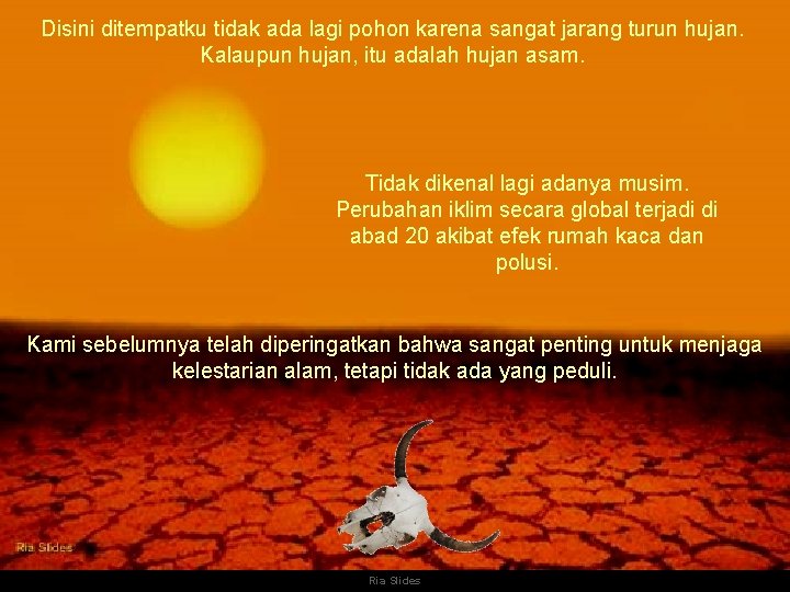 Disini ditempatku tidak ada lagi pohon karena sangat jarang turun hujan. Kalaupun hujan, itu