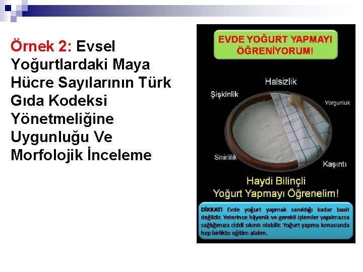 Örnek 2: Evsel Yoğurtlardaki Maya Hücre Sayılarının Türk Gıda Kodeksi Yönetmeliğine Uygunluğu Ve Morfolojik