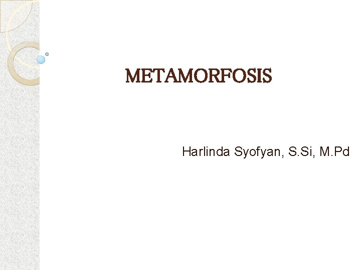 METAMORFOSIS Harlinda Syofyan, S. Si, M. Pd 