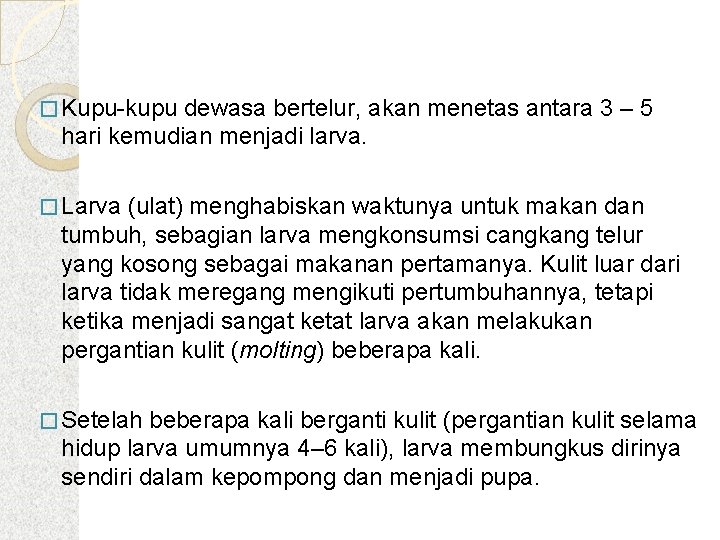 � Kupu-kupu dewasa bertelur, akan menetas antara 3 – 5 hari kemudian menjadi larva.