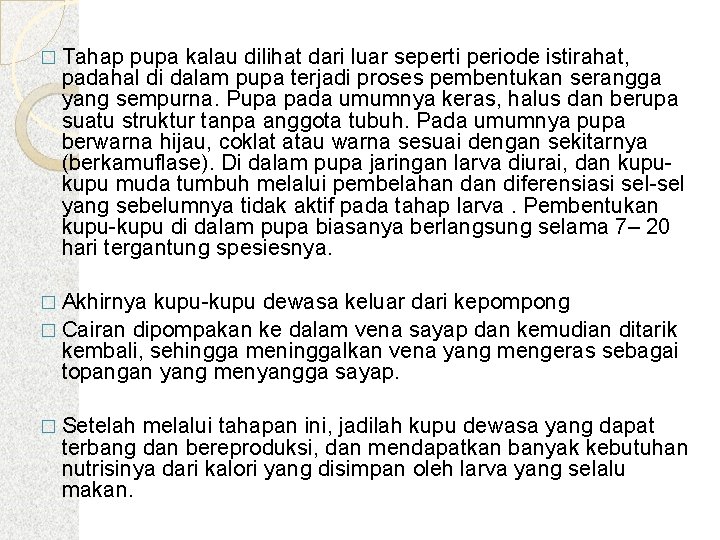 � Tahap pupa kalau dilihat dari luar seperti periode istirahat, padahal di dalam pupa