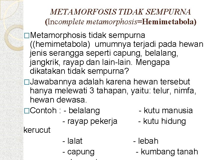 METAMORFOSIS TIDAK SEMPURNA (Incomplete metamorphosis=Hemimetabola) �Metamorphosis tidak sempurna ((hemimetabola) umumnya terjadi pada hewan jenis