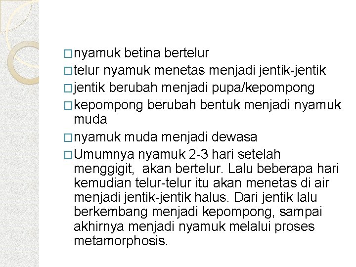 �nyamuk betina bertelur �telur nyamuk menetas menjadi jentik-jentik �jentik berubah menjadi pupa/kepompong �kepompong berubah