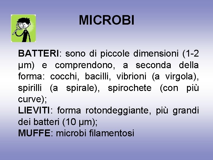 MICROBI BATTERI: sono di piccole dimensioni (1 -2 µm) e comprendono, a seconda della