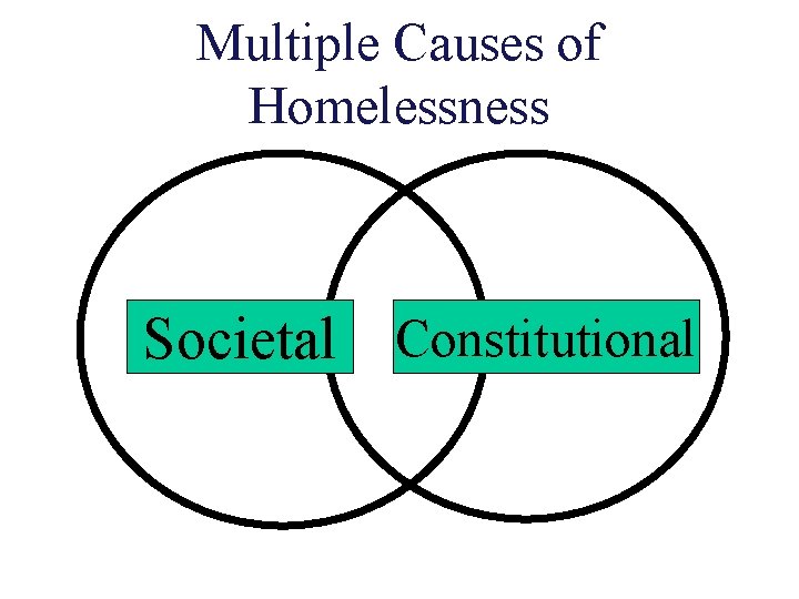 Multiple Causes of Homelessness Societal Constitutional 