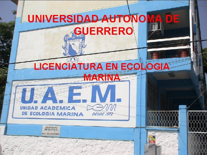 UNIVERSIDAD AUTONOMA DE GUERRERO LICENCIATURA EN ECOLOGIA MARINA 