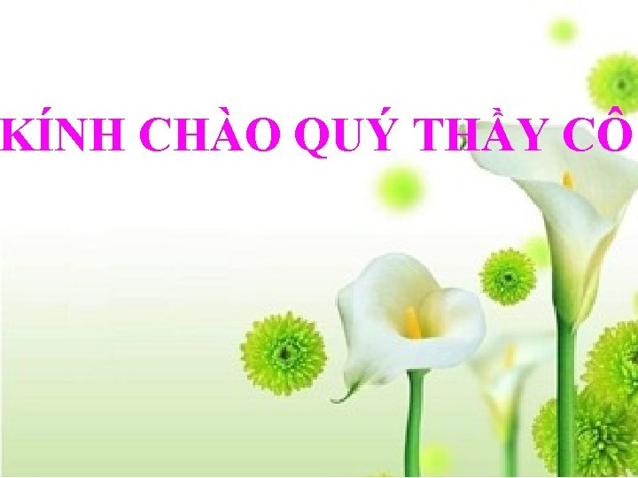 KÍNH CHÀO QUÝ THẦY CÔ 