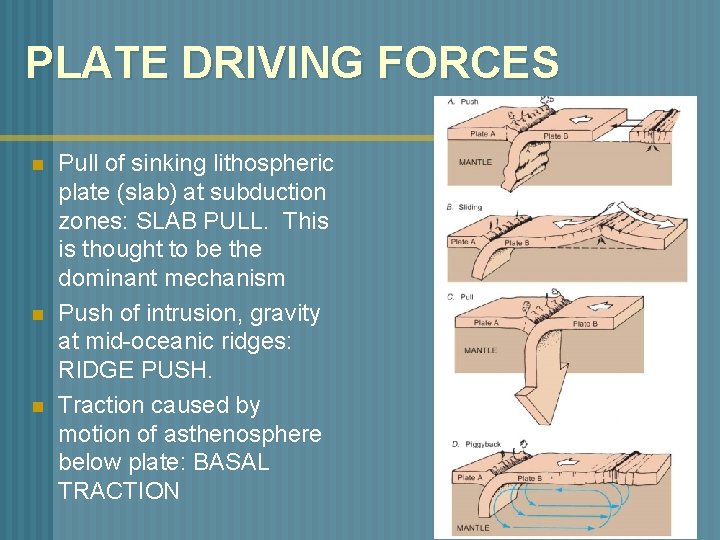 PLATE DRIVING FORCES n n n Pull of sinking lithospheric plate (slab) at subduction