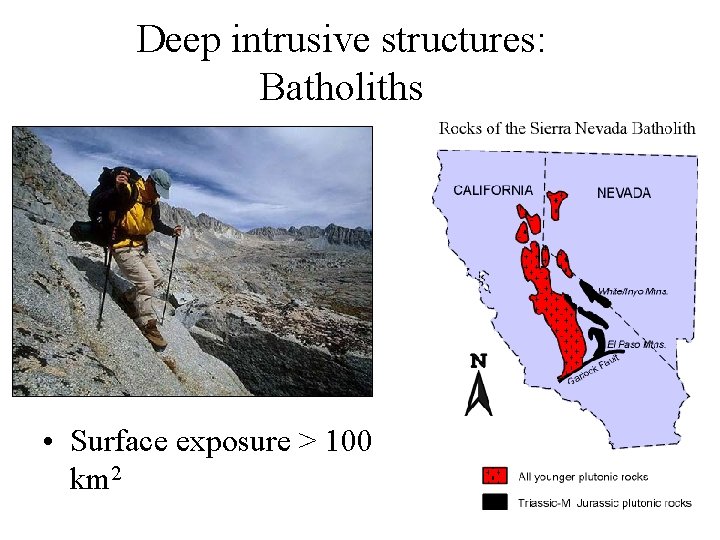 Deep intrusive structures: Batholiths • Surface exposure > 100 km 2 