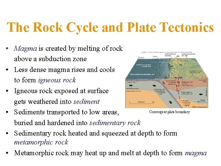 The Rock Cycle and Plate Tectonics • Magma is created by melting of rock