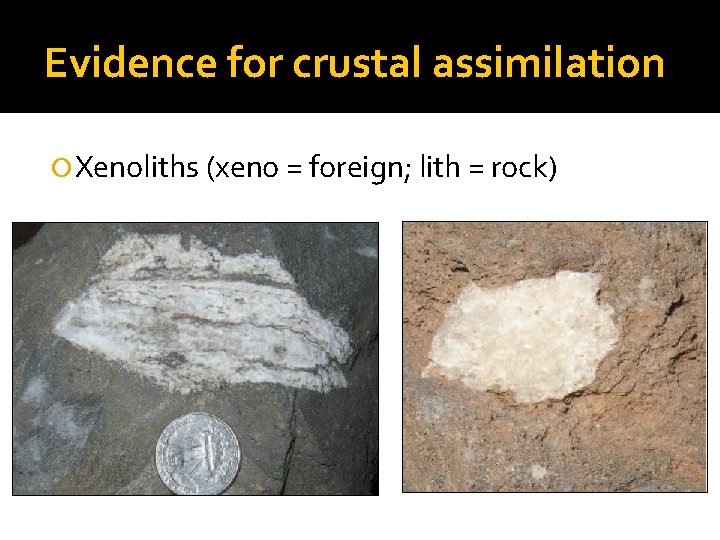 Evidence for crustal assimilation Xenoliths (xeno = foreign; lith = rock) 