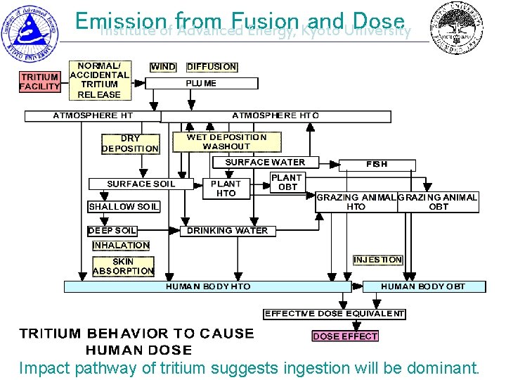 Emission Fusion and. University Dose Institute of from Advanced Energy, Kyoto Impact pathway of